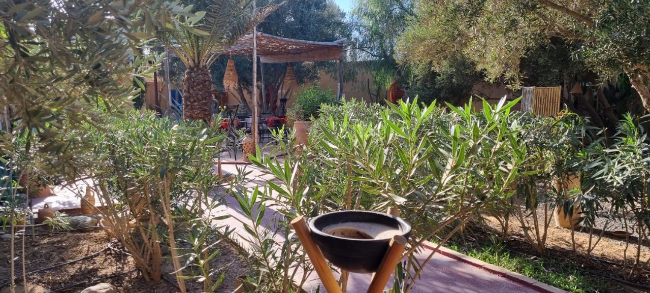 Les Trois Paons Bed & Breakfast ทารัวแดนท์ ภายนอก รูปภาพ