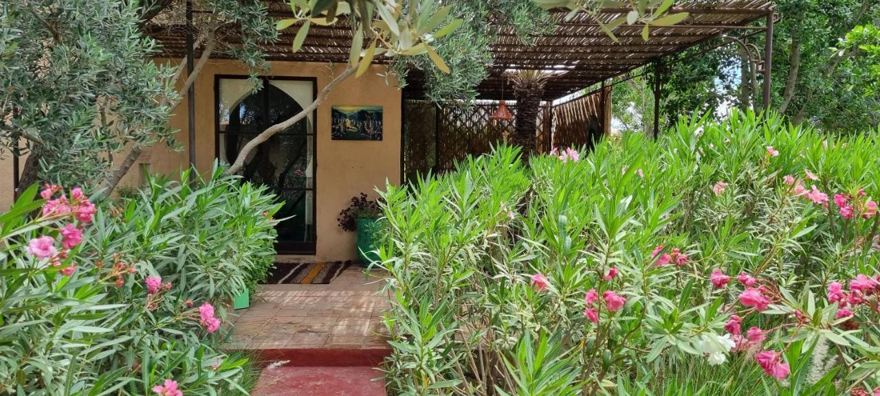 Les Trois Paons Bed & Breakfast ทารัวแดนท์ ห้อง รูปภาพ